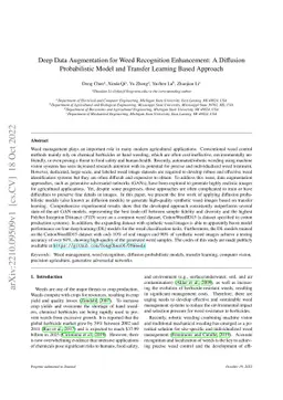Deep Data Augmentation for Weed Recognition Enhancement: A Diffusion
  Probabilistic Model and Transfer Learning Based Approach