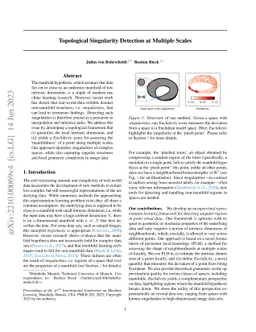 Topological Singularity Detection at Multiple Scales