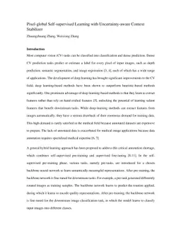 Pixel-global Self-supervised Learning with Uncertainty-aware Context
  Stabilizer