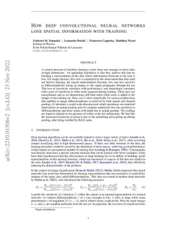 How deep convolutional neural networks lose spatial information with
  training