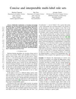 Concise and interpretable multi-label rule sets