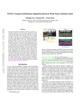 WUDA: Unsupervised Domain Adaptation Based on Weak Source Domain Labels