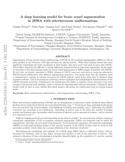 A deep learning model for brain vessel segmentation in 3DRA with
  arteriovenous malformations