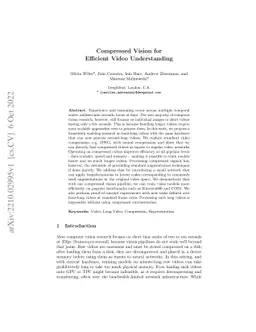 Compressed Vision for Efficient Video Understanding