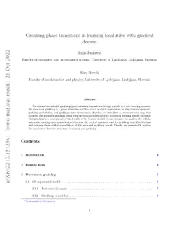 Grokking phase transitions in learning local rules with gradient descent