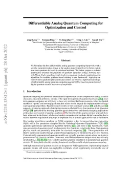 Differentiable Analog Quantum Computing for Optimization and Control