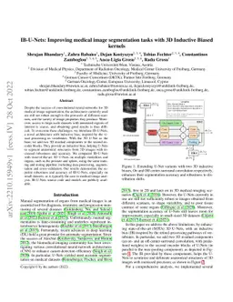 IB-U-Nets: Improving medical image segmentation tasks with 3D Inductive
  Biased kernels