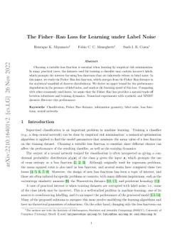 The Fisher-Rao Loss for Learning under Label Noise