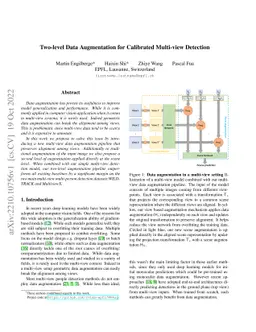 Two-level Data Augmentation for Calibrated Multi-view Detection