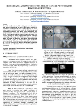 Robustcaps: a transformation-robust capsule network for image
  classification
