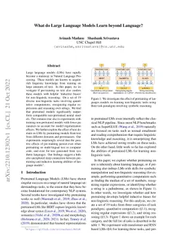 What do Large Language Models Learn beyond Language?