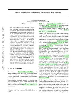 On the optimization and pruning for Bayesian deep learning