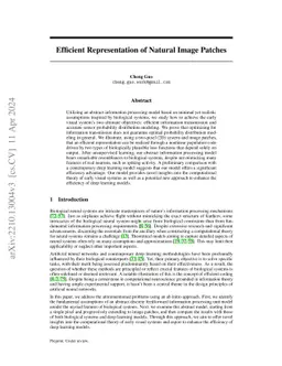 Efficient Representation of Natural Image Patches