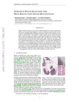Iterative Patch Selection for High-Resolution Image Recognition