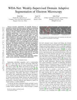 WDA-Net: Weakly-Supervised Domain Adaptive Segmentation of Electron
  Microscopy