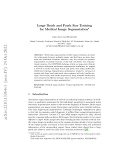 Large Batch and Patch Size Training for Medical Image Segmentation