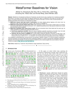 MetaFormer Baselines for Vision