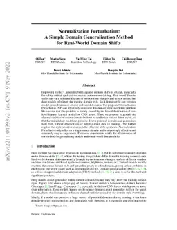 Normalization Perturbation: A Simple Domain Generalization Method for
  Real-World Domain Shifts