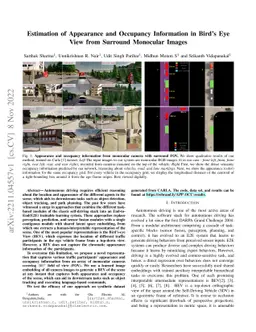 Estimation of Appearance and Occupancy Information in Birds Eye View
  from Surround Monocular Images