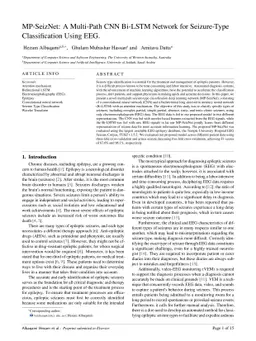 MP-SeizNet: A Multi-Path CNN Bi-LSTM Network for Seizure-Type
  Classification Using EEG