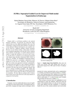 SUPRA: Superpixel Guided Loss for Improved Multi-modal Segmentation in
  Endoscopy