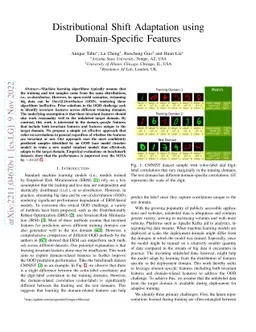 Distributional Shift Adaptation using Domain-Specific Features