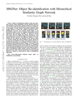 HSGNet: Object Re-identification with Hierarchical Similarity Graph
  Network