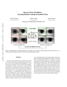 Haven't I Seen You Before? Assessing Identity Leakage in Synthetic
  Irises