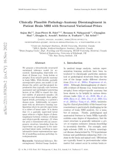Clinically Plausible Pathology-Anatomy Disentanglement in Patient Brain
  MRI with Structured Variational Priors
