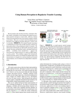 Using Human Perception to Regularize Transfer Learning