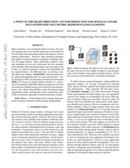 A Point in the Right Direction: Vector Prediction for Spatially-aware
  Self-supervised Volumetric Representation Learning
