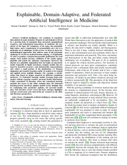 Explainable, Domain-Adaptive, and Federated Artificial Intelligence in
  Medicine