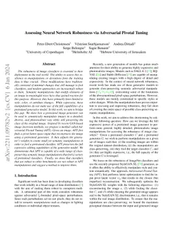 Assessing Neural Network Robustness via Adversarial Pivotal Tuning
