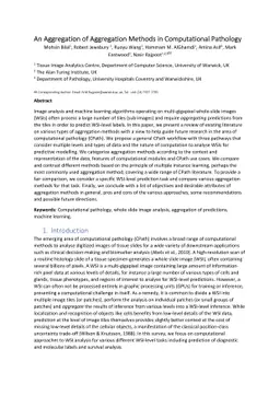 An Aggregation of Aggregation Methods in Computational Pathology