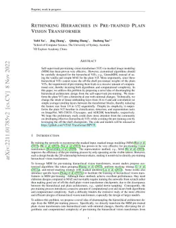 Rethinking Hierarchies in Pre-trained Plain Vision Transformer