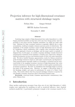 Projection inference for high-dimensional covariance matrices with
  structured shrinkage targets