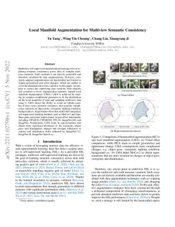 Local Manifold Augmentation for Multiview Semantic Consistency