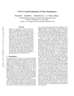 ViT-CX: Causal Explanation of Vision Transformers