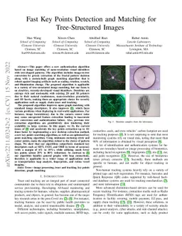 Fast Key Points Detection and Matching for Tree-Structured Images