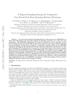 A Targeted Sampling Strategy for Compressive Cryo Focused Ion Beam
  Scanning Electron Microscopy