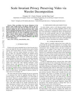 Scale Invariant Privacy Preserving Video via Wavelet Decomposition
