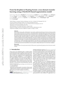 From fat droplets to floating forests: cross-domain transfer learning
  using a PatchGAN-based segmentation model