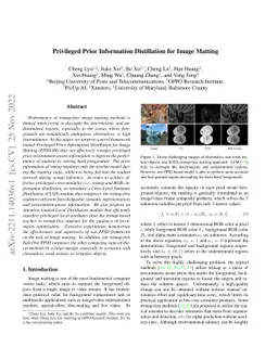 Privileged Prior Information Distillation for Image Matting
