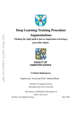 Deep Learning Training Procedure Augmentations