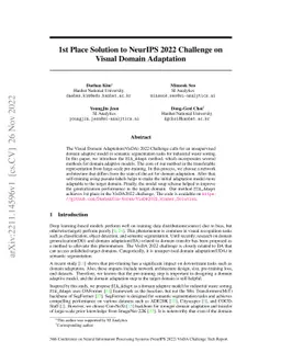 1st Place Solution to NeurIPS 2022 Challenge on Visual Domain Adaptation
