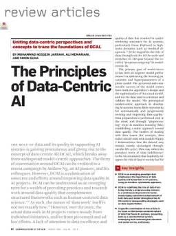 The Principles of Data-Centric AI (DCAI)