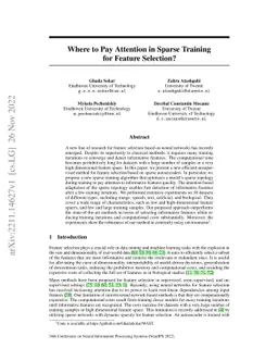 Where to Pay Attention in Sparse Training for Feature Selection?