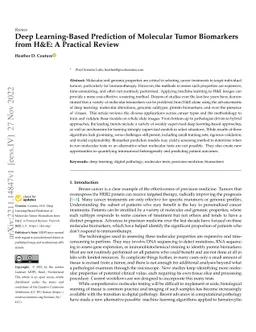 Deep Learning-Based Prediction of Molecular Tumor Biomarkers from H&E: A
  Practical Review