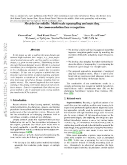 Meet-in-the-middle: Multi-scale upsampling and matching for
  cross-resolution face recognition