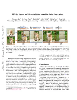 LUMix: Improving Mixup by Better Modelling Label Uncertainty